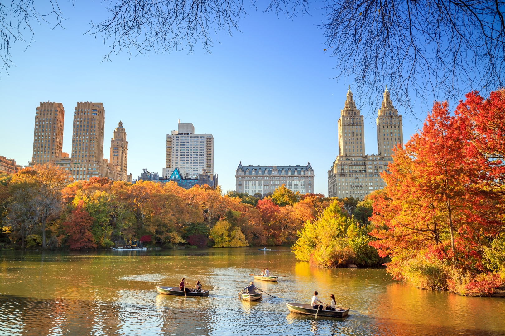 Fall colors in the city