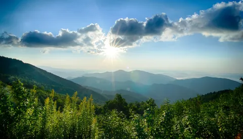 An expansive view of forested hills