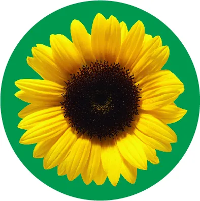 Sunflower Program logo